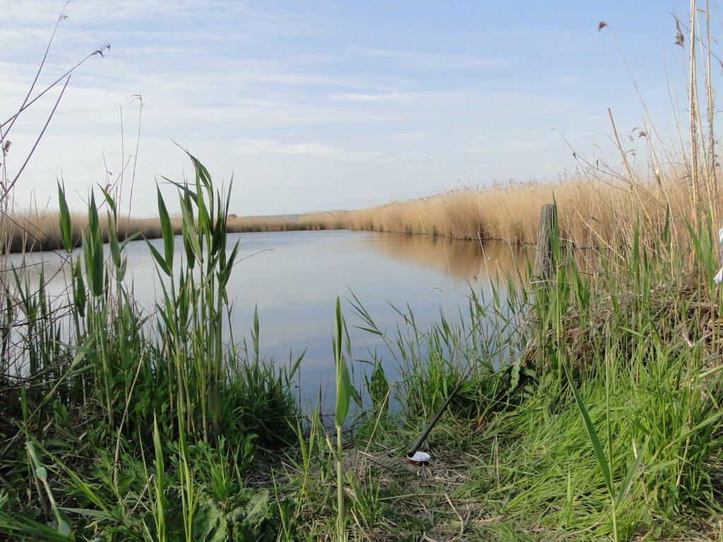 de prin lume  :) - 11.jpg